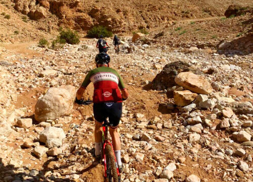 Excursion d’une journée en vélo à Nkob