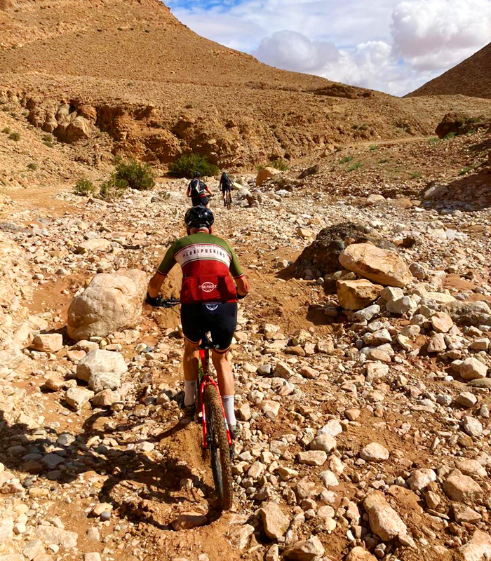 Excursion d'une journée en vélo